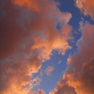 Meet your Posher, Cammie